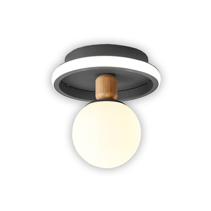 22089 STROPNA SVJETILJKA LED 31W + E27 TRI BOJE SVJETLA